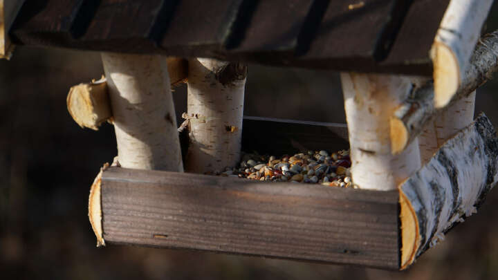 PATKAR Vogelhaus mit Holzdach